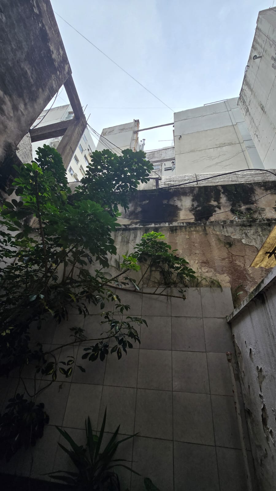 Galería